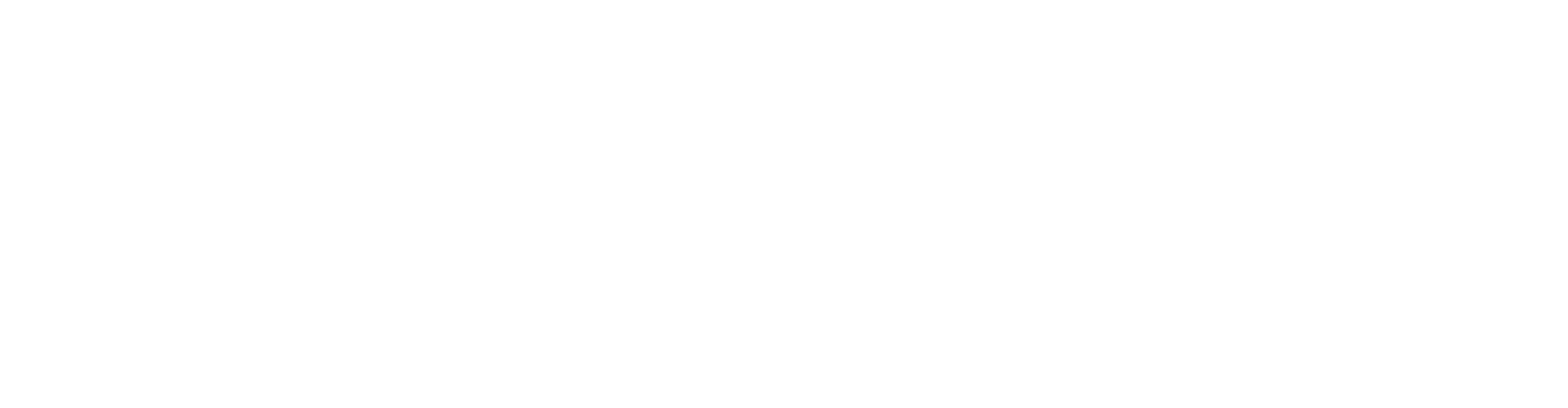 HEIDI Lucrări Subacvatice
